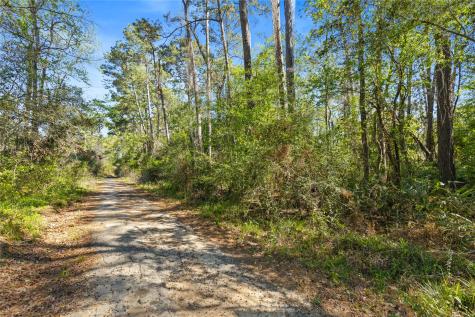 00 Lilac Lane New Caney TX 77357