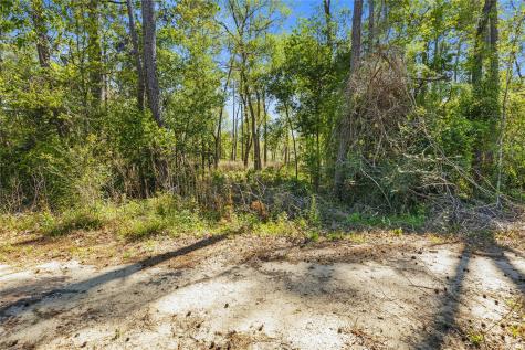 00 Lilac Lane New Caney TX 77357