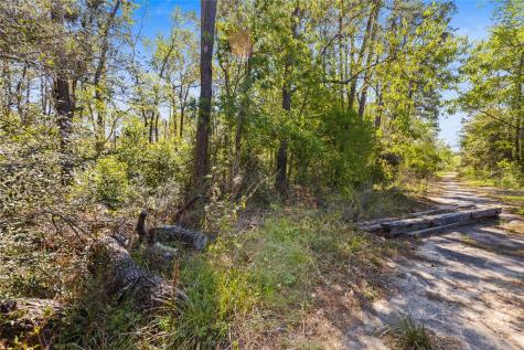 00 Lilac Lane New Caney TX 77357