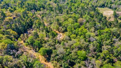 00 Lilac Lane New Caney TX 77357