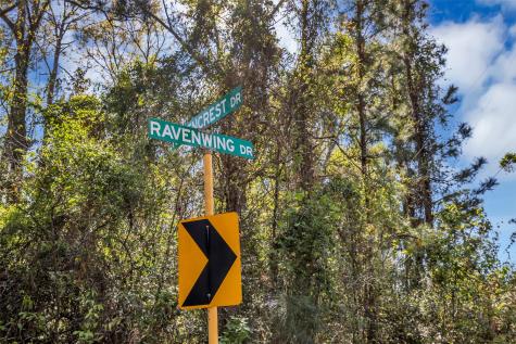 Lot 139 Ravenwood Drive Porter TX 77365