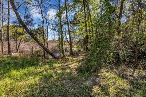 Lot 139 Ravenwood Drive Porter TX 77365