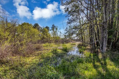 Lot 139 Ravenwood Drive Porter TX 77365