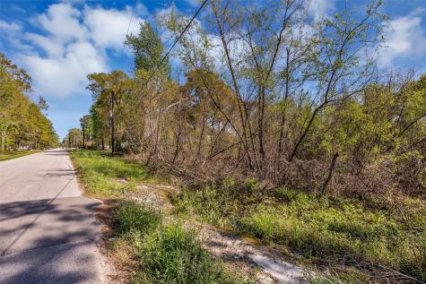 Lot 139 Ravenwood Drive Porter TX 77365