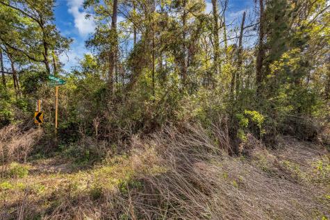 Lot 139 Ravenwood Drive Porter TX 77365