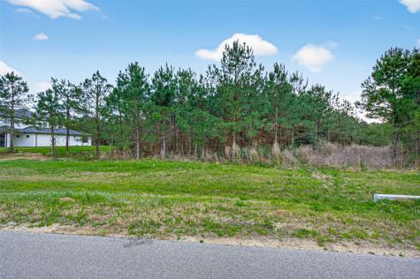 15661 Wood Grove Way Willis TX 77378