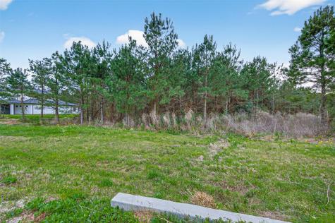 15661 Wood Grove Way Willis TX 77378