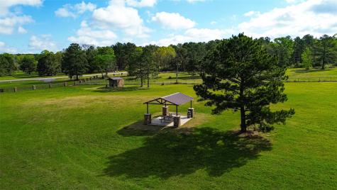 15661 Wood Grove Way Willis TX 77378