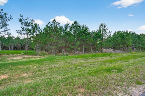 15661 Wood Grove Way Willis TX 77378