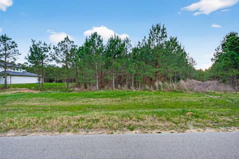 15661 Wood Grove Way Willis TX 77378