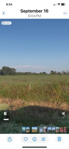 442 Fm 640 Road Glen Flora TX 77448