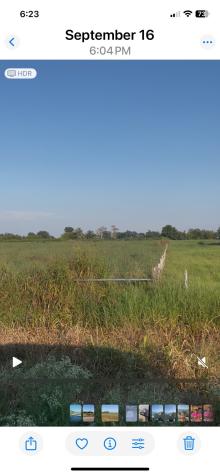 442 Fm 640 Road Glen Flora TX 77448