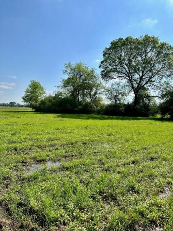 Lot #23 Southfield Trail Lovelady TX 75851