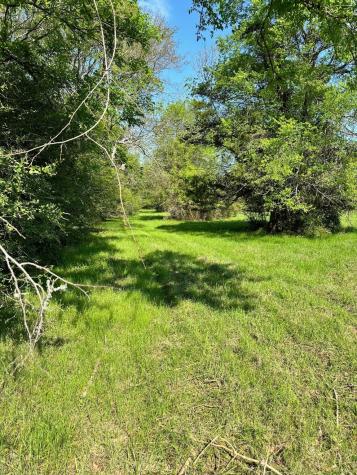Lot #23 Southfield Trail Lovelady TX 75851