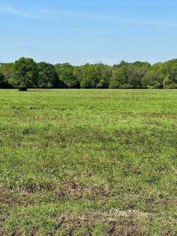 Lot #23 Southfield Trail Lovelady TX 75851