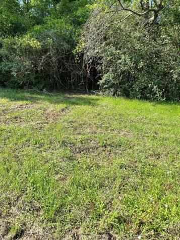 Lot #23 Southfield Trail Lovelady TX 75851