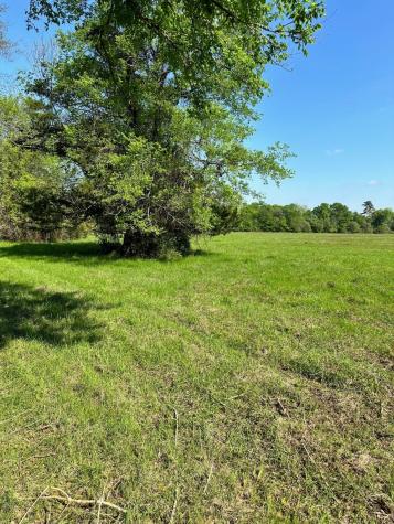 Lot #23 Southfield Trail Lovelady TX 75851