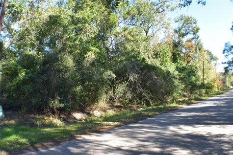 3415 Evergreen Drive Kingwood TX 77365