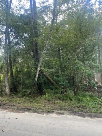 13181 Royal Springs Road Conroe TX 77303