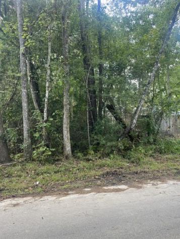 13181 Royal Springs Road Conroe TX 77303