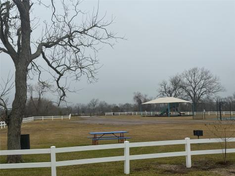 17218 Lucky Horse Drive Rosharon TX 77583