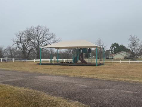17218 Lucky Horse Drive Rosharon TX 77583