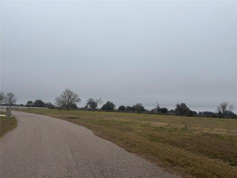 17218 Lucky Horse Drive Rosharon TX 77583