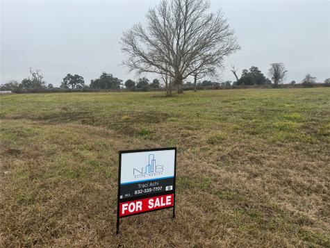 17218 Lucky Horse Drive Rosharon TX 77583