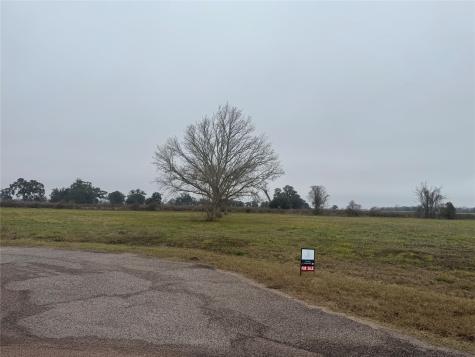 17218 Lucky Horse Drive Rosharon TX 77583