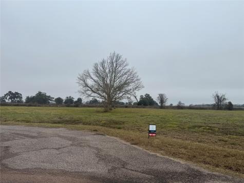 17218 Lucky Horse Drive Rosharon TX 77583