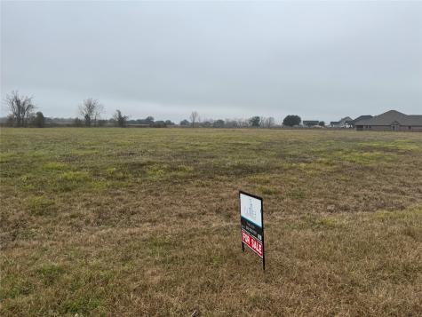 17218 Lucky Horse Drive Rosharon TX 77583