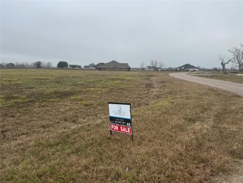 17218 Lucky Horse Drive Rosharon TX 77583