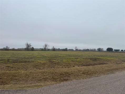 17218 Lucky Horse Drive Rosharon TX 77583