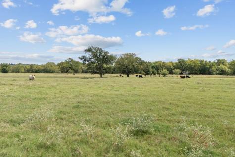 0 Fm-149 E Richards TX 77873