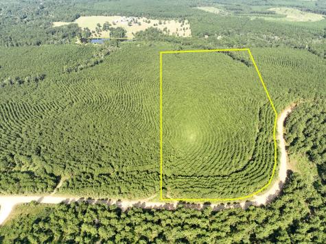 00 Shady Grove Road Woodville TX 75979