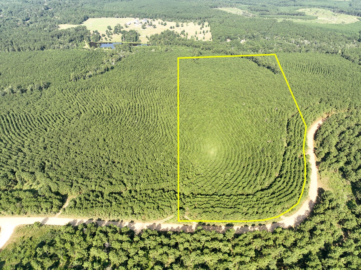 00 Shady Grove Road Woodville TX 75979