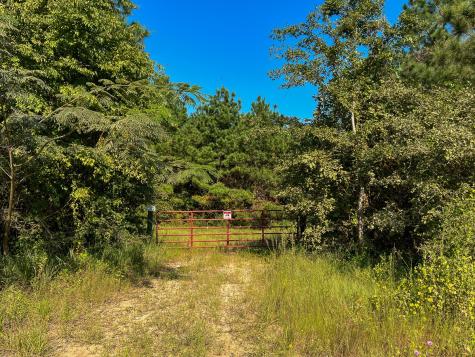 00 Shady Grove Road Woodville TX 75979