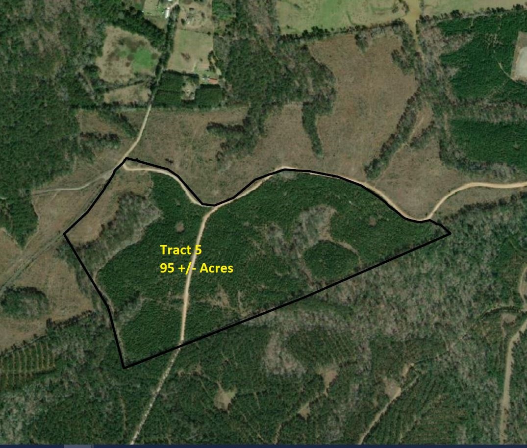 Tract 5 Cr 255 San Augustine TX 75972