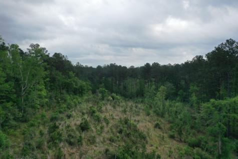 Tract 5 Cr 255 San Augustine TX 75972