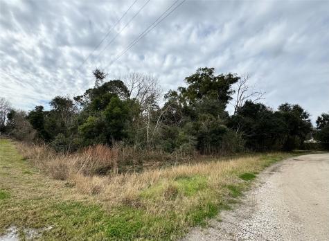 Lot 9 Shannon Hitchcock TX 77563