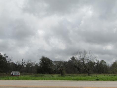 2481 Fm 521 Road Brazoria TX 77422