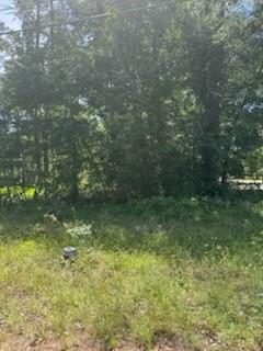 15871 Sycamore Drive Montgomery TX 77356
