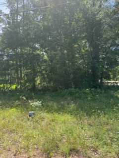 15871 Sycamore Drive Montgomery TX 77356