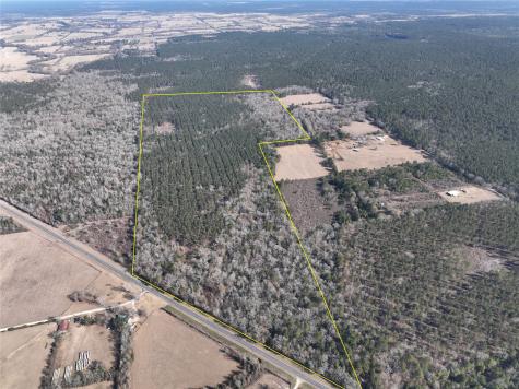 4 Highway 287 Pennington TX 75845