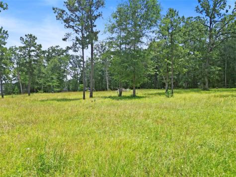 00 Dahlia Road Huntsville TX 77320