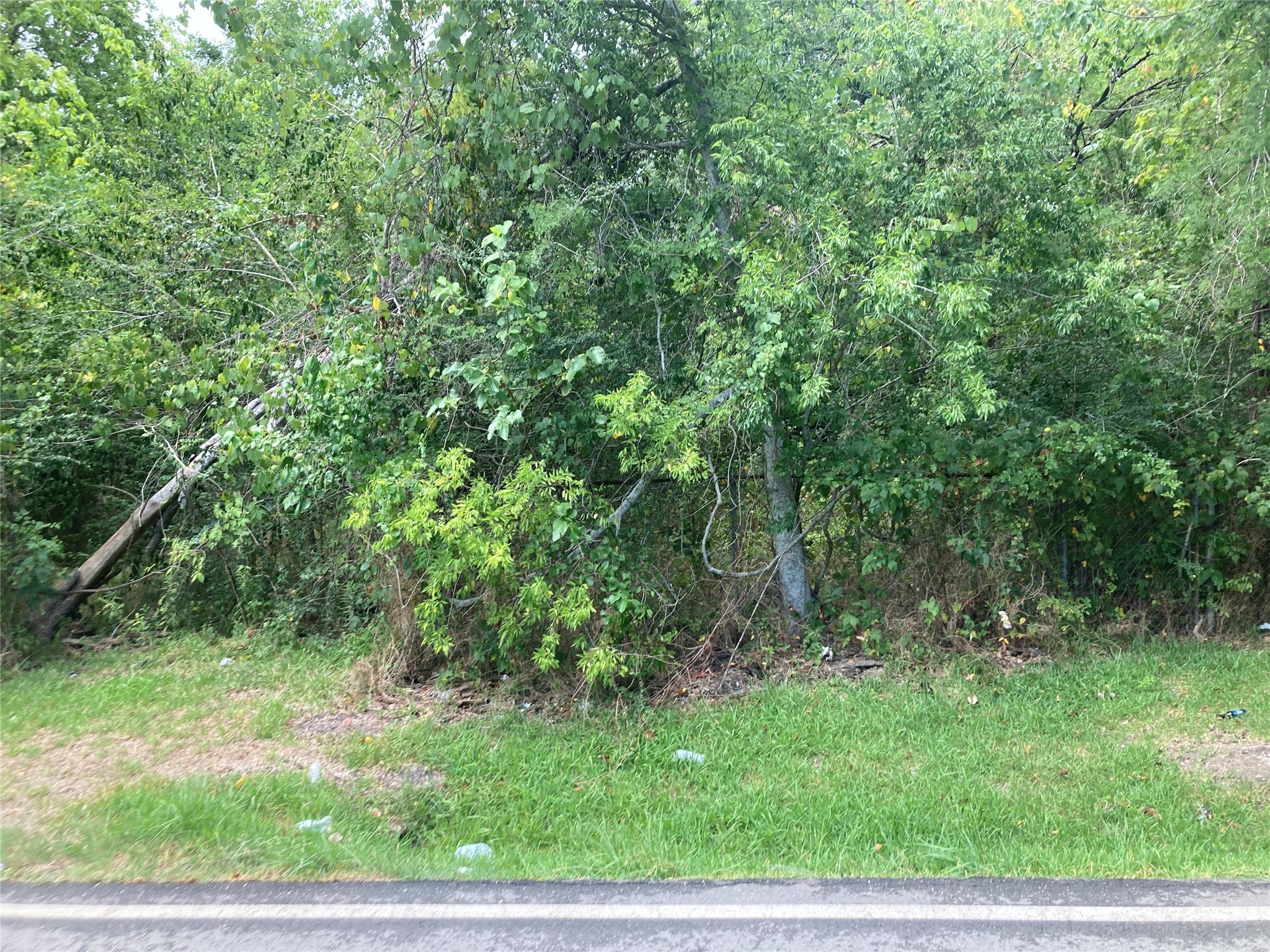 206 Arcadian Drive Crosby TX 77532