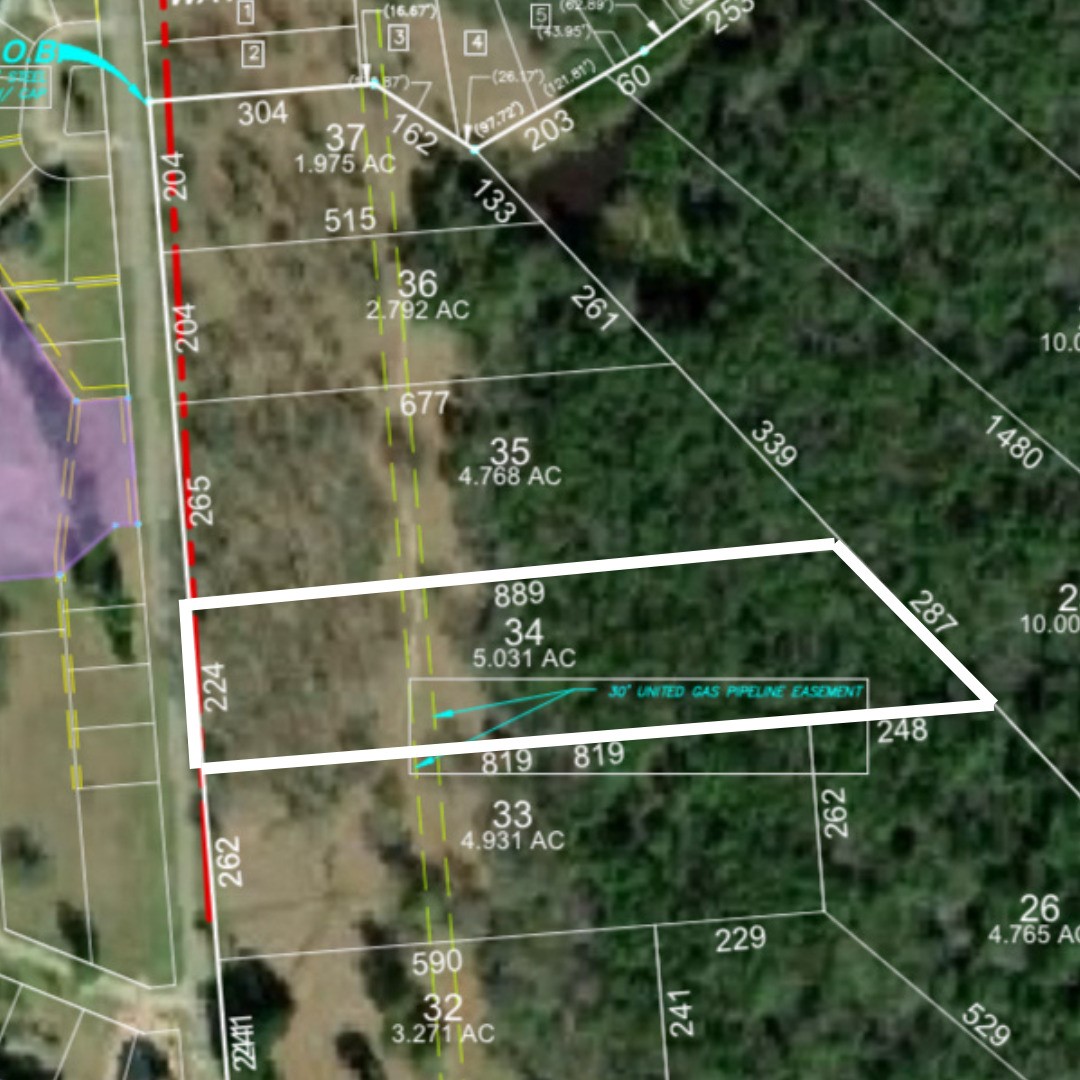 Lot 34 Lake Livingston Lane Trinity TX 75862
