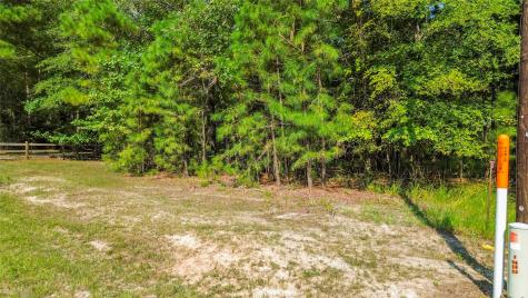 00 Pine Island Cove Road Grapeland TX 75844