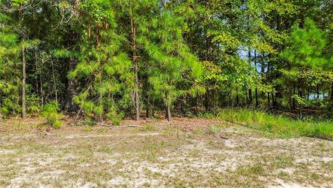 00 Pine Island Cove Road Grapeland TX 75844