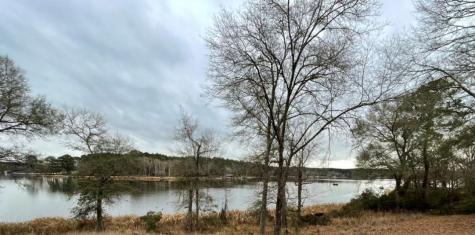00 Pine Island Cove Road Grapeland TX 75844